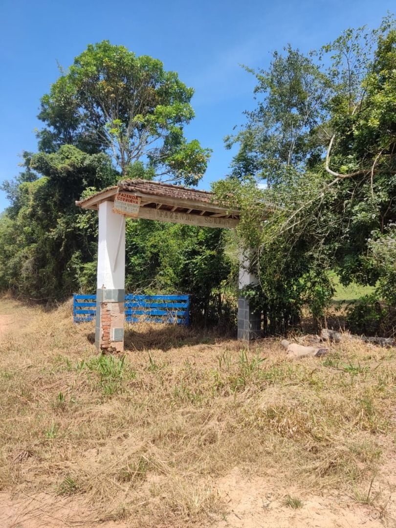 Fazenda-Sítio-Chácara, 200 m² - Foto 3