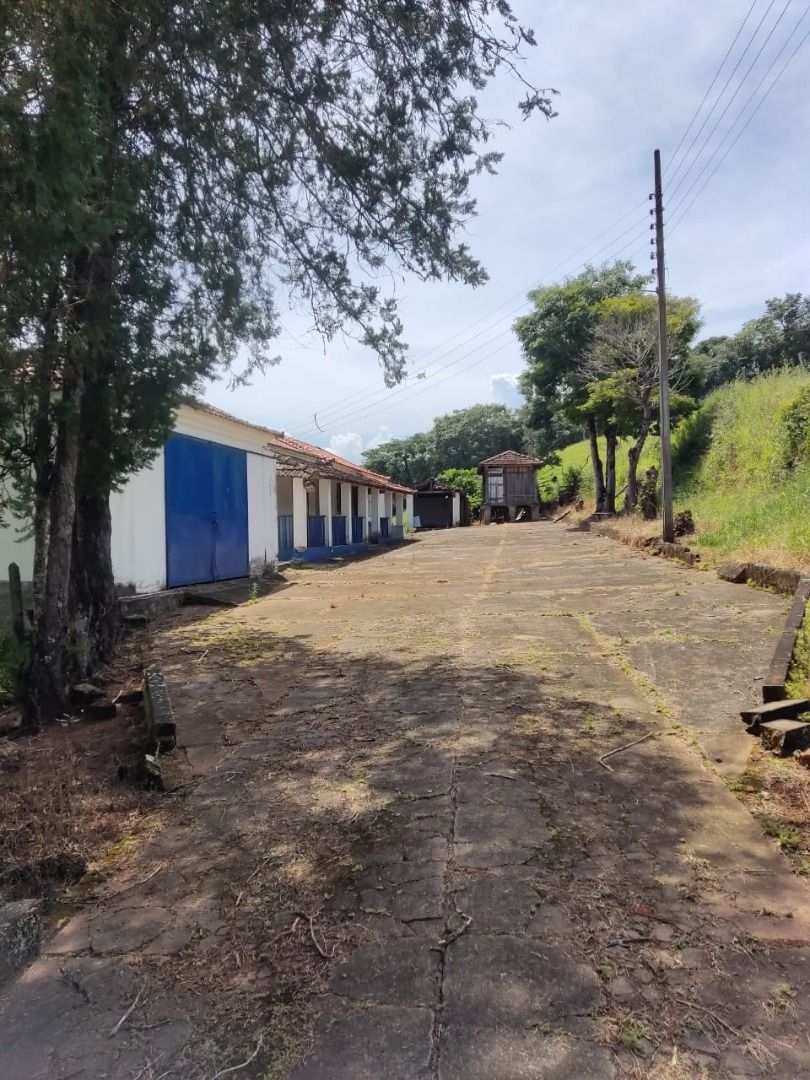 Fazenda-Sítio-Chácara, 200 m² - Foto 4