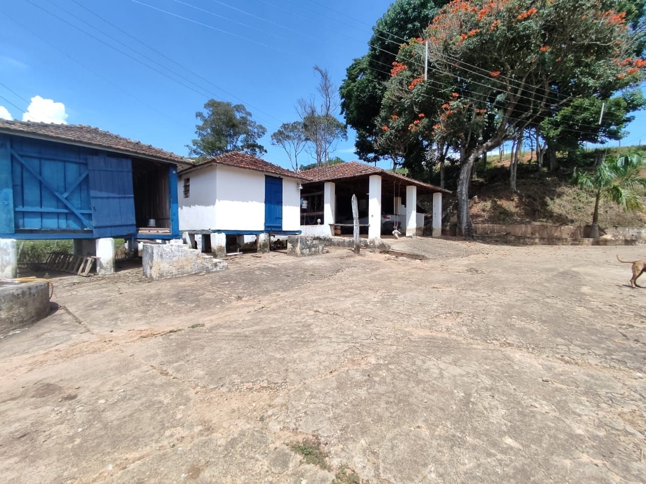 Fazenda-Sítio-Chácara, 200 m² - Foto 6