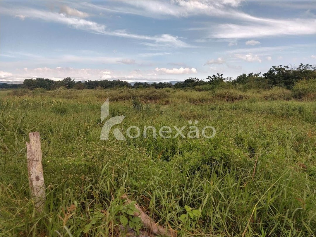 Sítio, 1 quarto, 300 m² - Foto 5