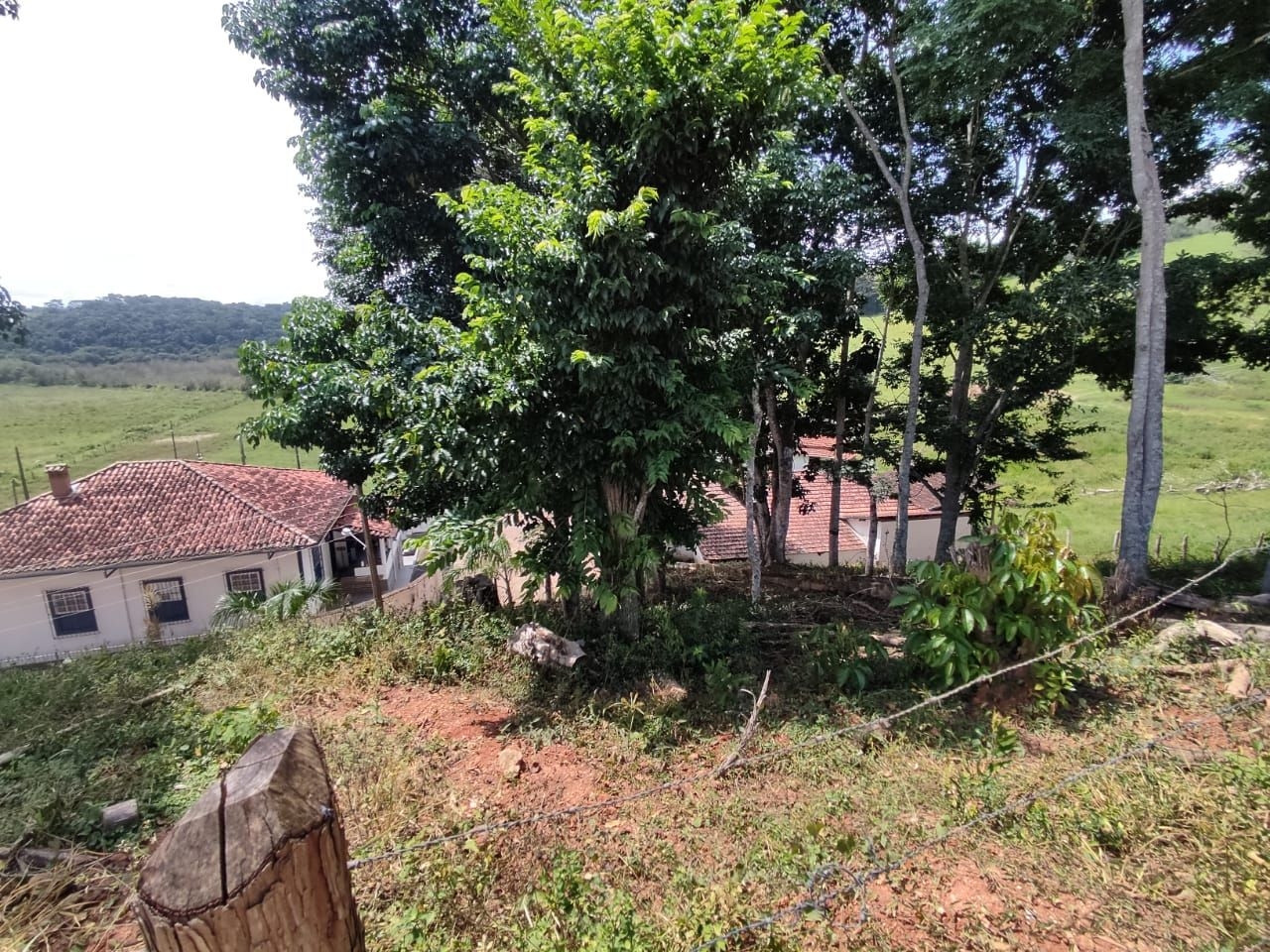 Fazenda-Sítio-Chácara, 200 m² - Foto 9