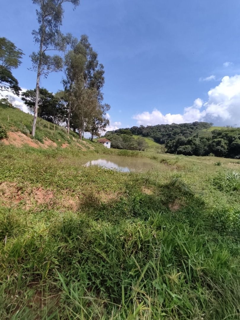 Fazenda-Sítio-Chácara, 200 m² - Foto 10