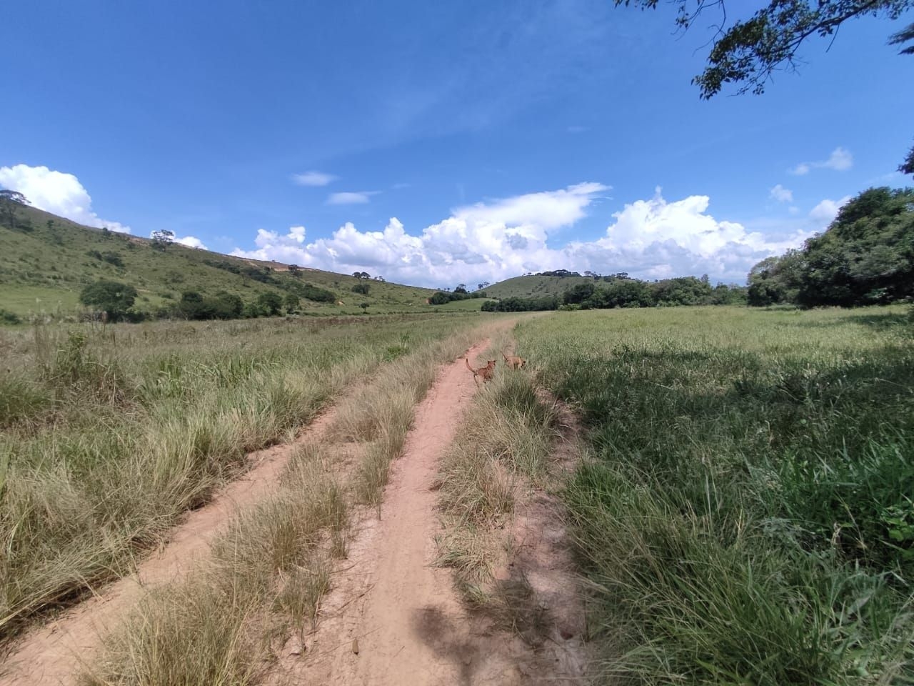 Fazenda-Sítio-Chácara, 200 m² - Foto 12