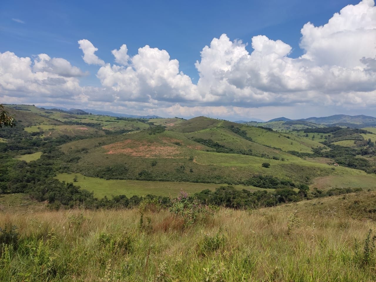 Fazenda-Sítio-Chácara, 200 m² - Foto 13