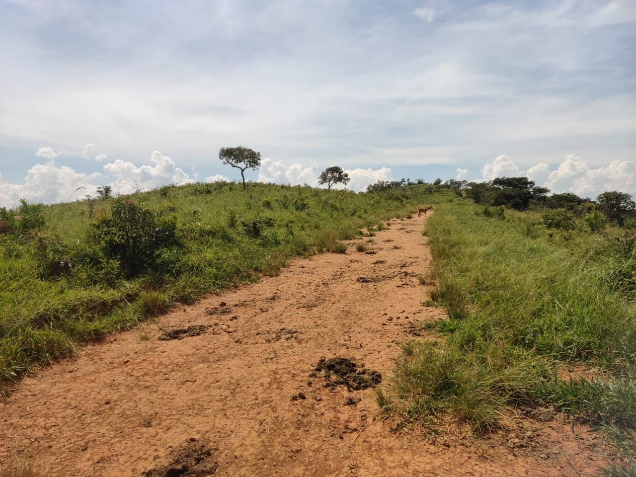Fazenda-Sítio-Chácara, 200 m² - Foto 14