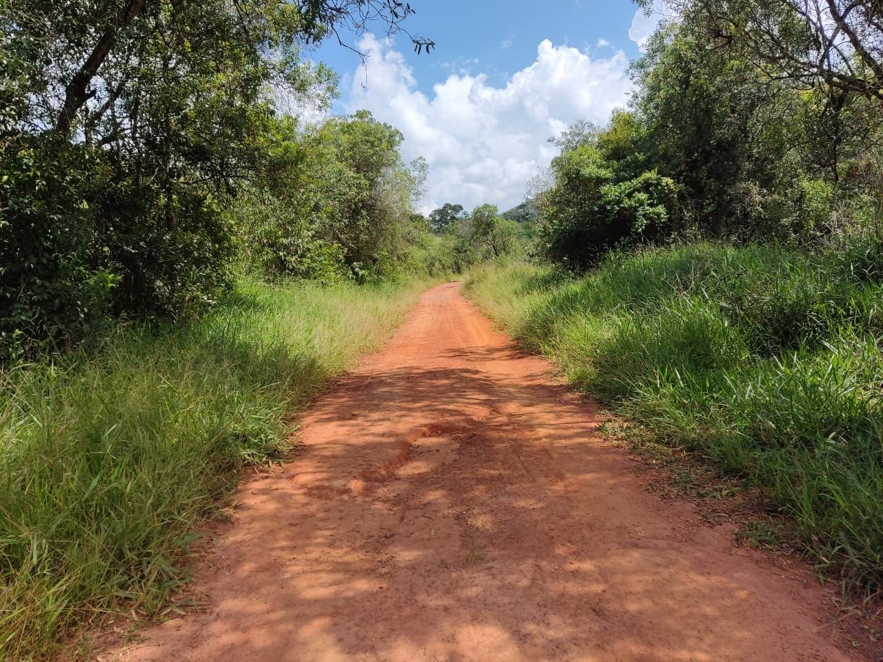 Fazenda-Sítio-Chácara, 200 m² - Foto 15