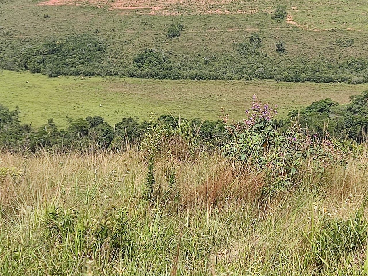 Fazenda-Sítio-Chácara, 200 m² - Foto 17