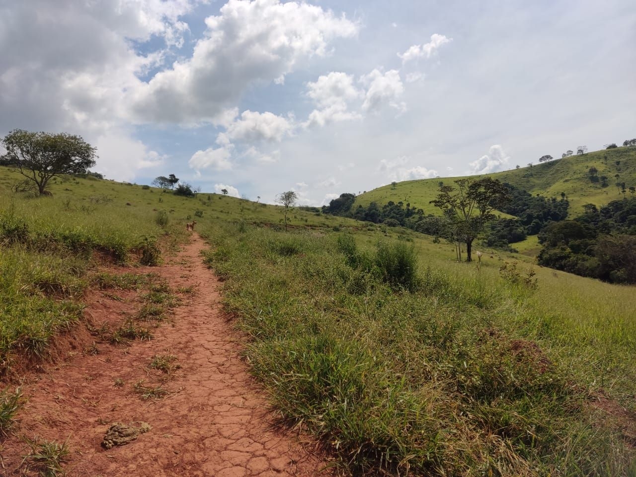 Fazenda-Sítio-Chácara, 200 m² - Foto 19