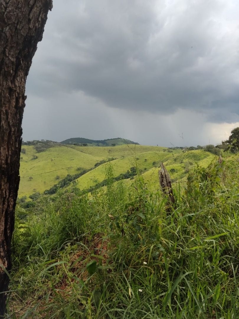 Fazenda-Sítio-Chácara, 200 m² - Foto 20