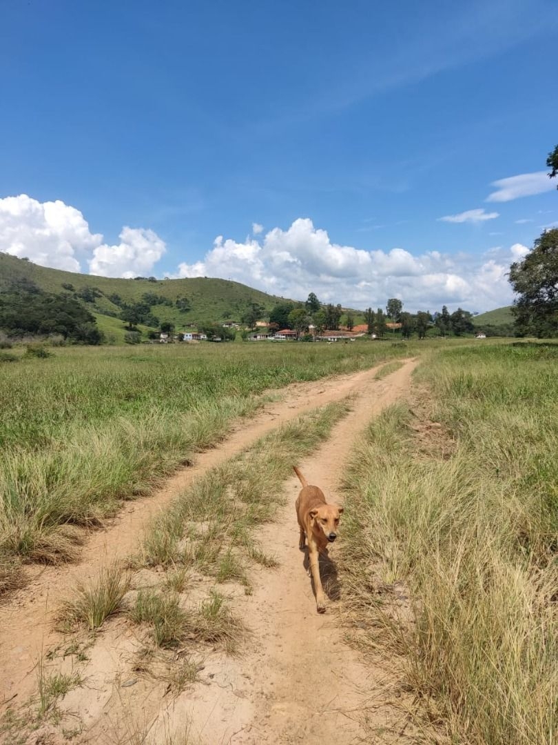 Fazenda-Sítio-Chácara, 200 m² - Foto 22