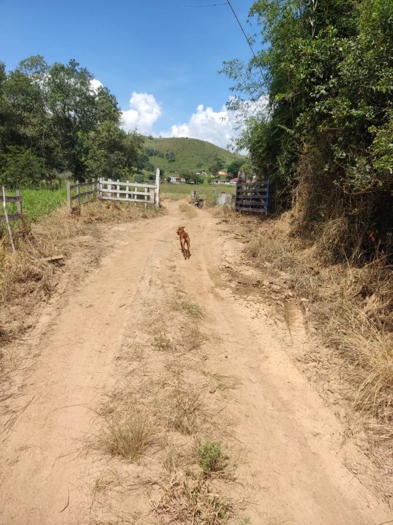 Fazenda-Sítio-Chácara, 200 m² - Foto 24