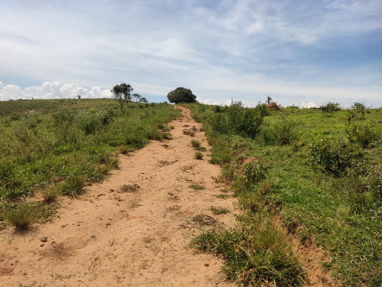 Fazenda-Sítio-Chácara, 200 m² - Foto 31