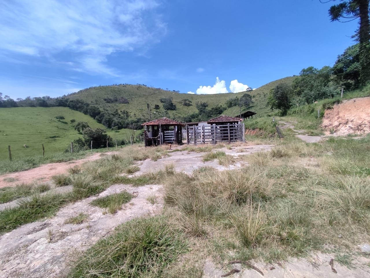 Fazenda-Sítio-Chácara, 200 m² - Foto 37