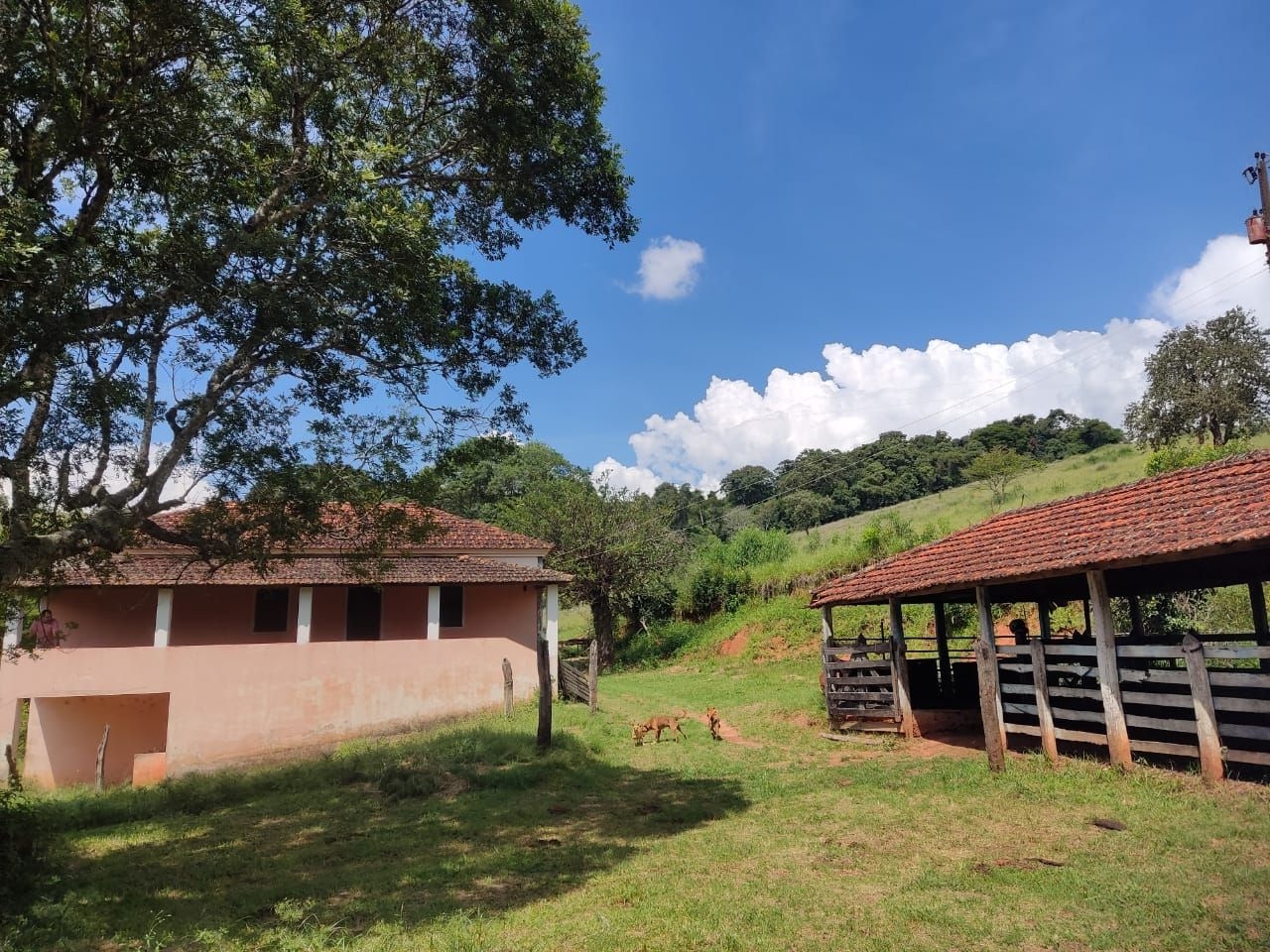 Fazenda-Sítio-Chácara, 200 m² - Foto 38