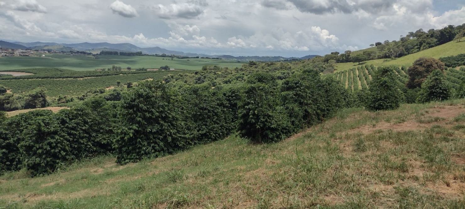 Fazenda-Sítio-Chácara, 200 m² - Foto 4