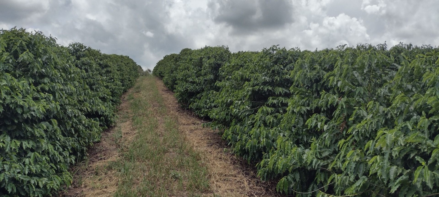 Fazenda-Sítio-Chácara, 200 m² - Foto 2