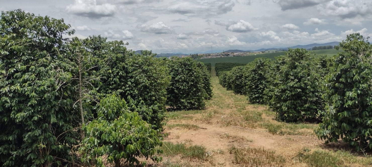 Fazenda-Sítio-Chácara, 200 m² - Foto 7