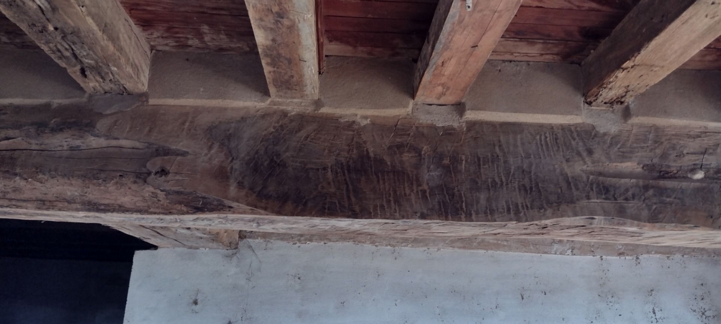 Fazenda-Sítio-Chácara, 200 m² - Foto 10