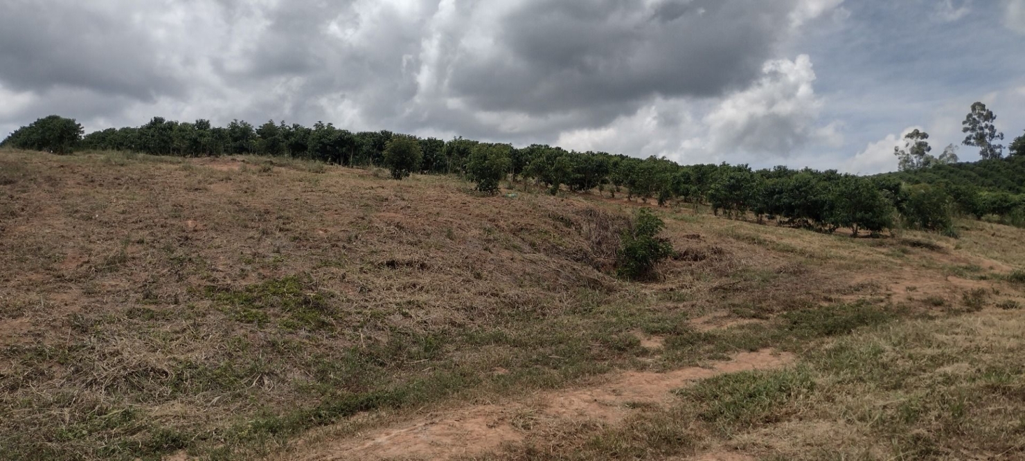 Fazenda-Sítio-Chácara, 200 m² - Foto 11