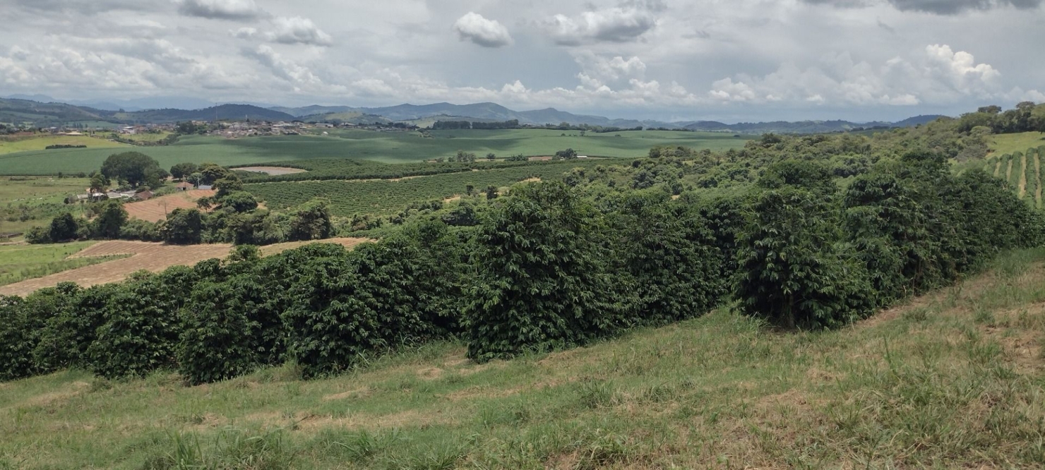 Fazenda-Sítio-Chácara, 200 m² - Foto 12