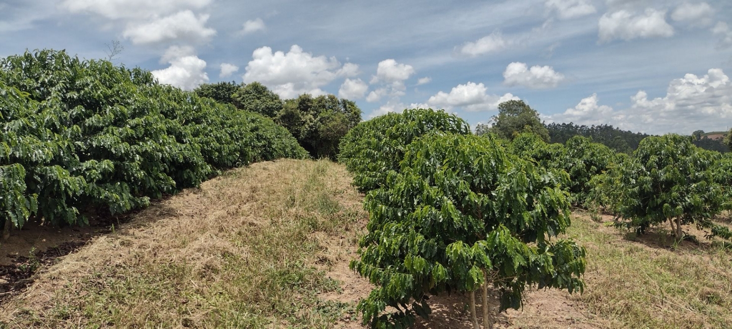 Fazenda-Sítio-Chácara, 200 m² - Foto 13