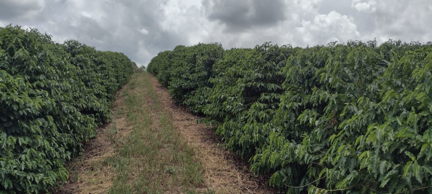 Fazenda-Sítio-Chácara, 200 m² - Foto 15