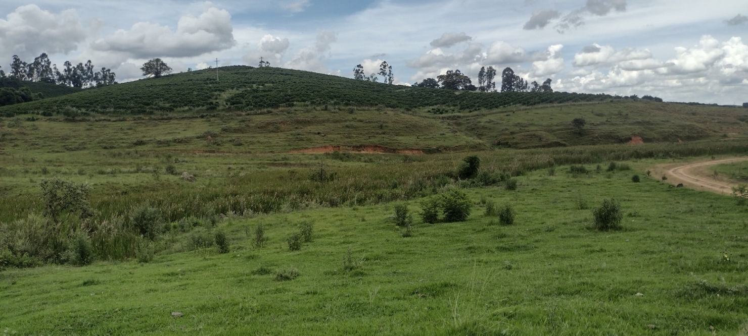 Fazenda-Sítio-Chácara, 200 m² - Foto 16