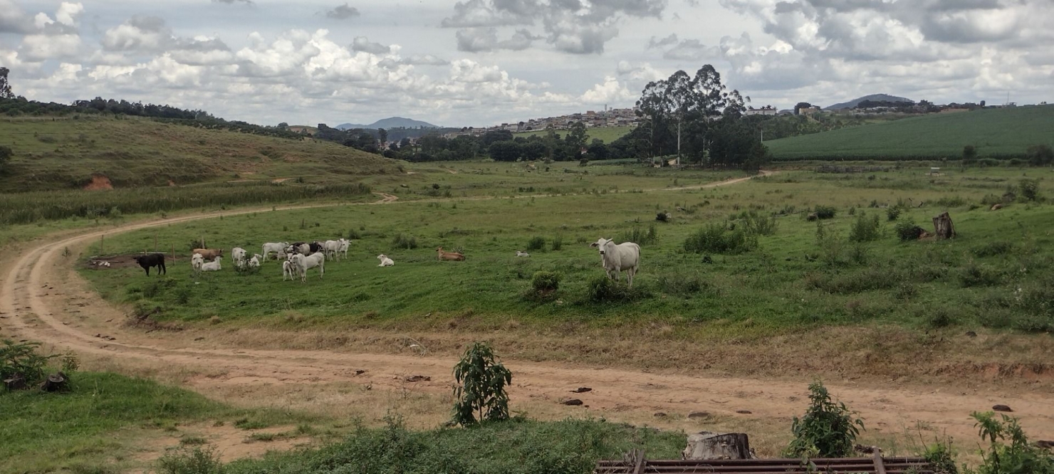 Fazenda-Sítio-Chácara, 200 m² - Foto 18