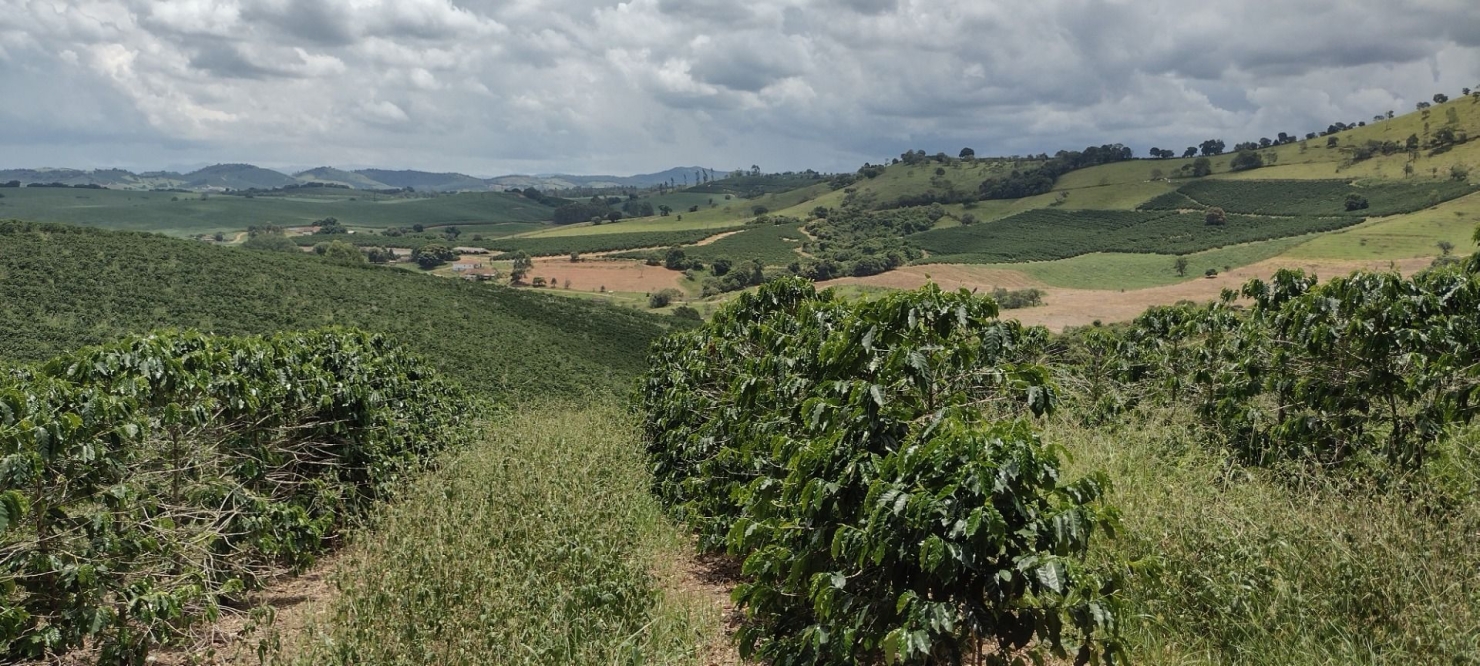 Fazenda-Sítio-Chácara, 200 m² - Foto 3