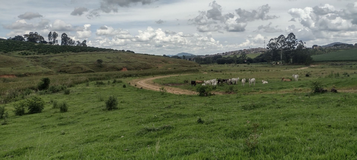 Fazenda-Sítio-Chácara, 200 m² - Foto 20