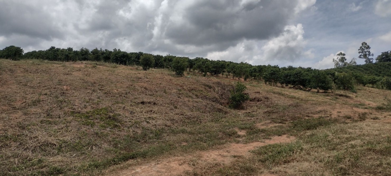 Fazenda-Sítio-Chácara, 200 m² - Foto 22