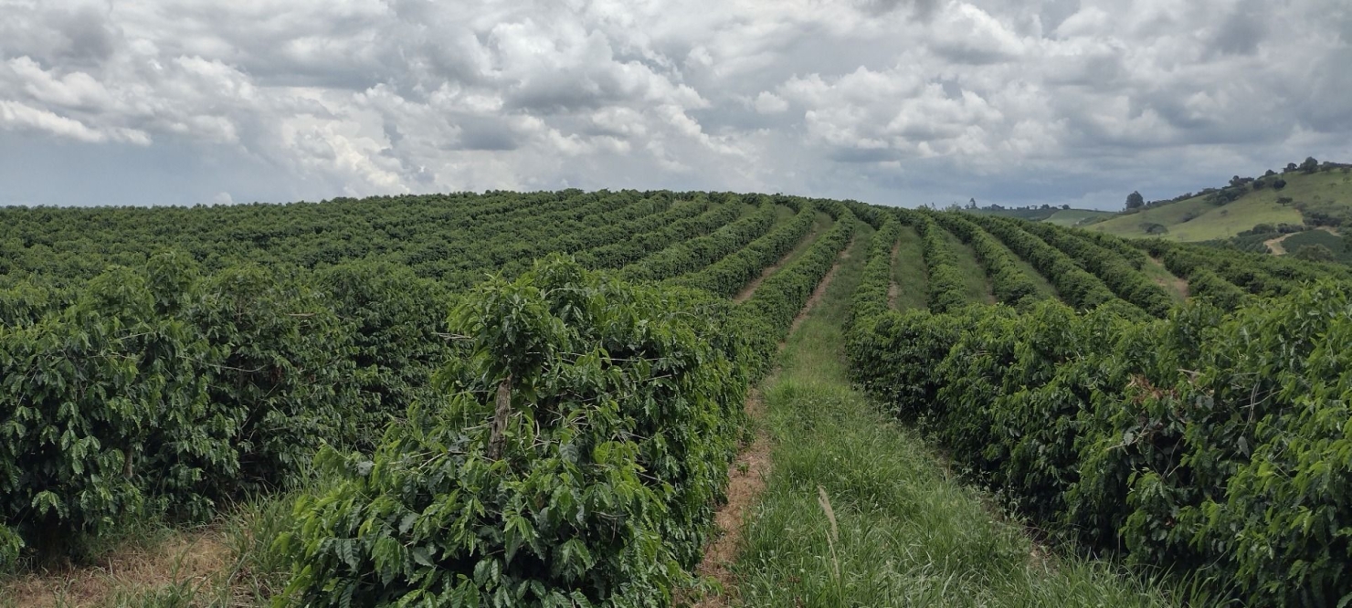 Fazenda-Sítio-Chácara, 200 m² - Foto 24