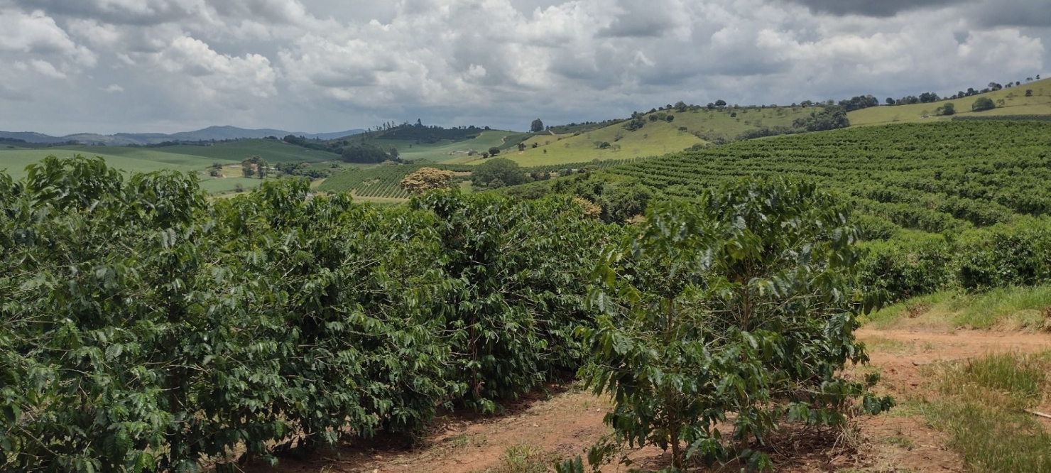 Fazenda-Sítio-Chácara, 200 m² - Foto 26