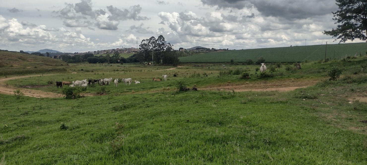 Fazenda-Sítio-Chácara, 200 m² - Foto 28