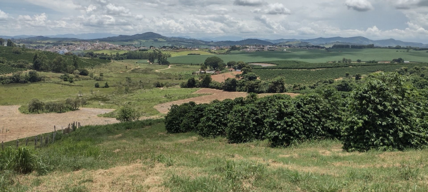 Fazenda-Sítio-Chácara, 200 m² - Foto 30