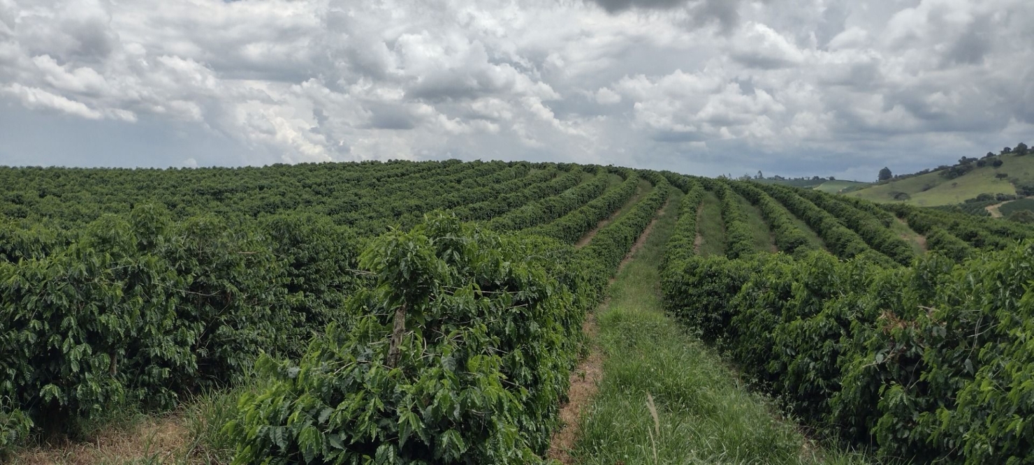 Fazenda-Sítio-Chácara, 200 m² - Foto 33