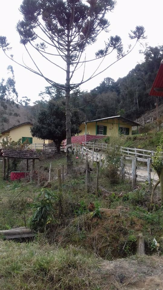 Sítio, 1 quarto, 200 m² - Foto 21