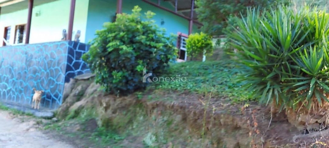 Sítio, 1 quarto, 200 m² - Foto 6