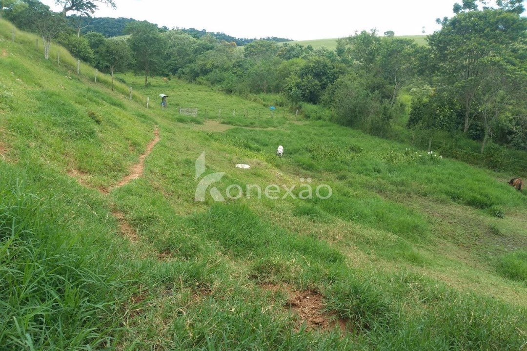 Sítio em Paraibuna/São Paulo — Ref 7L66KU — Imagem 18