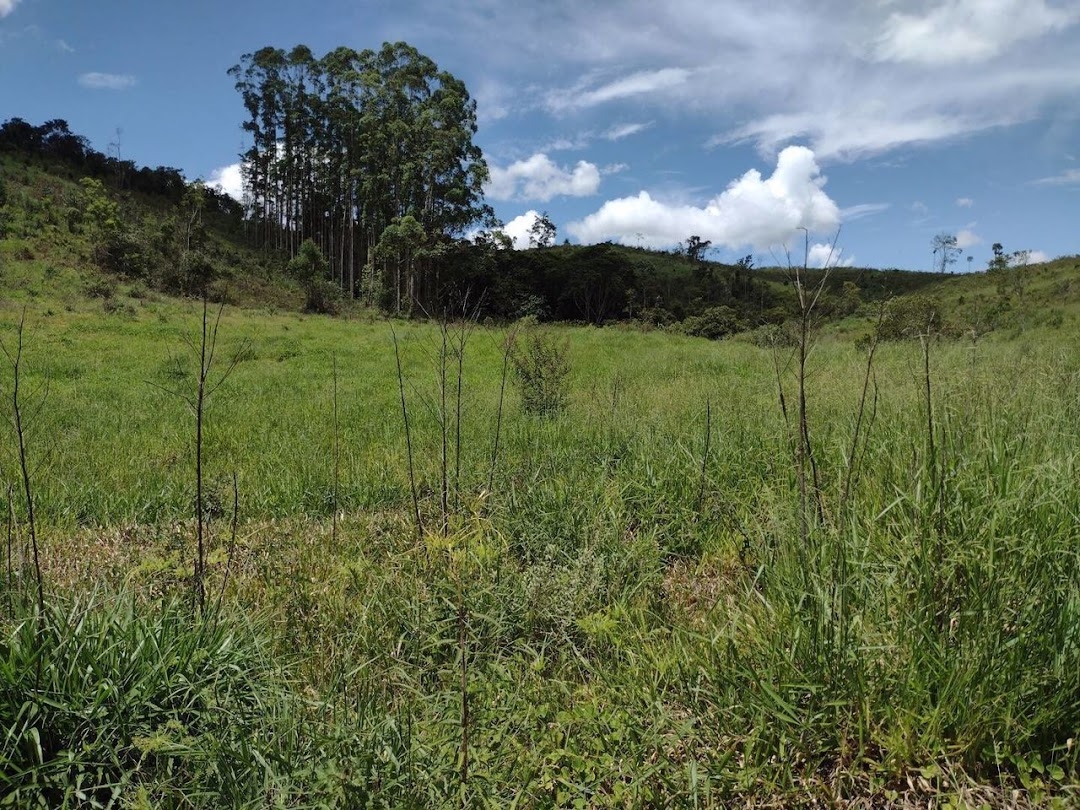 Fazenda em Guaratinguetá/São Paulo — Ref TRIBGM — Imagem 22