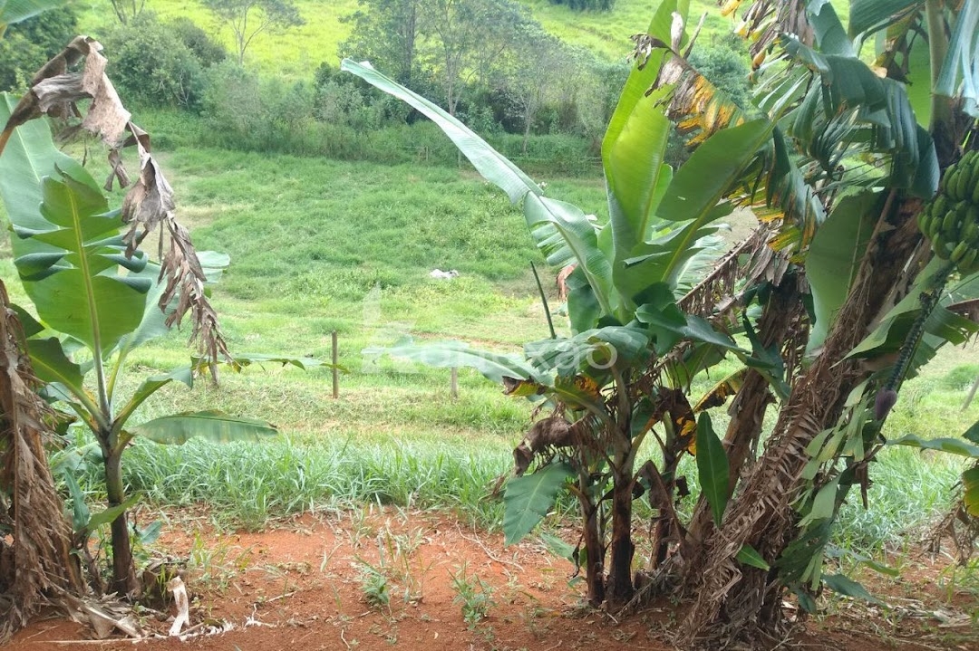 Sítio em Paraibuna/São Paulo — Ref 7L66KU — Imagem 22