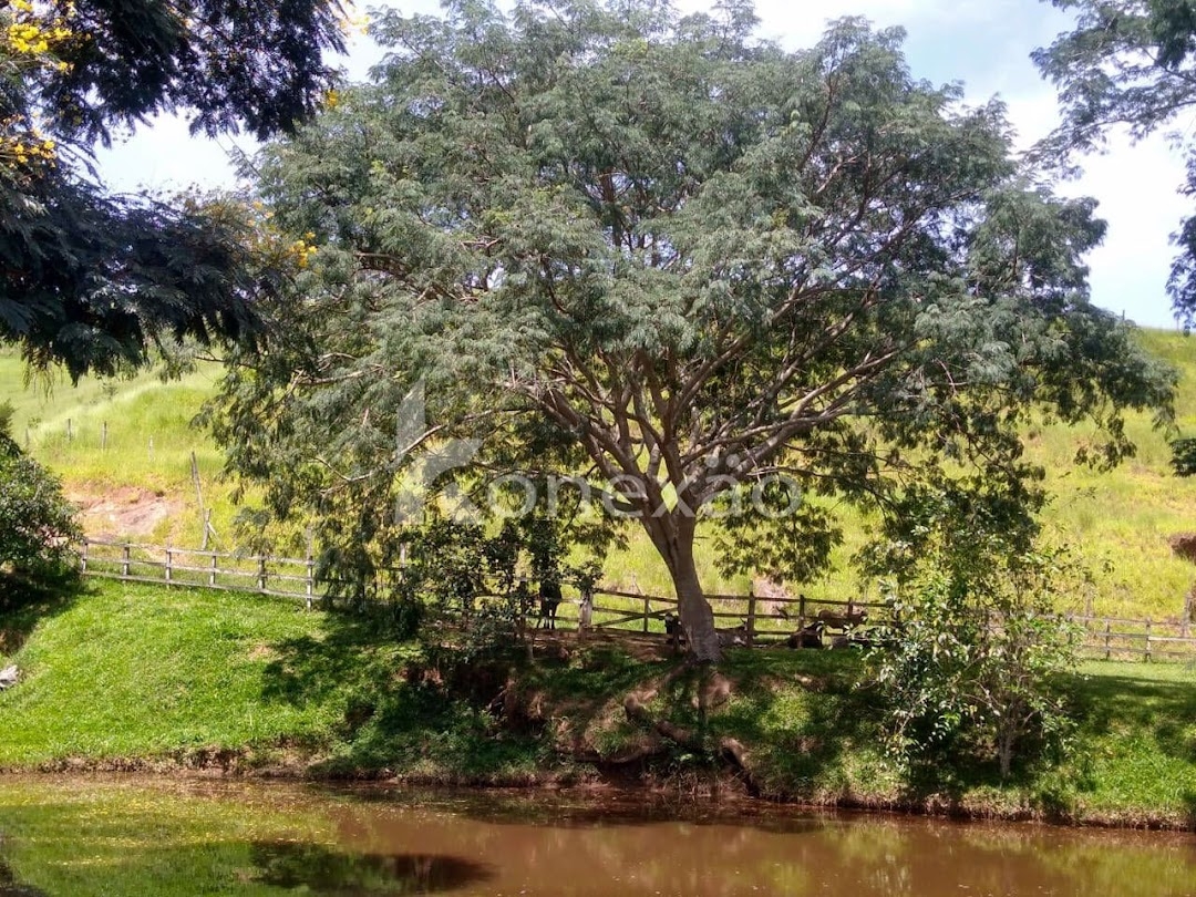 Sítio, 2 quartos, 100 m² - Foto 3