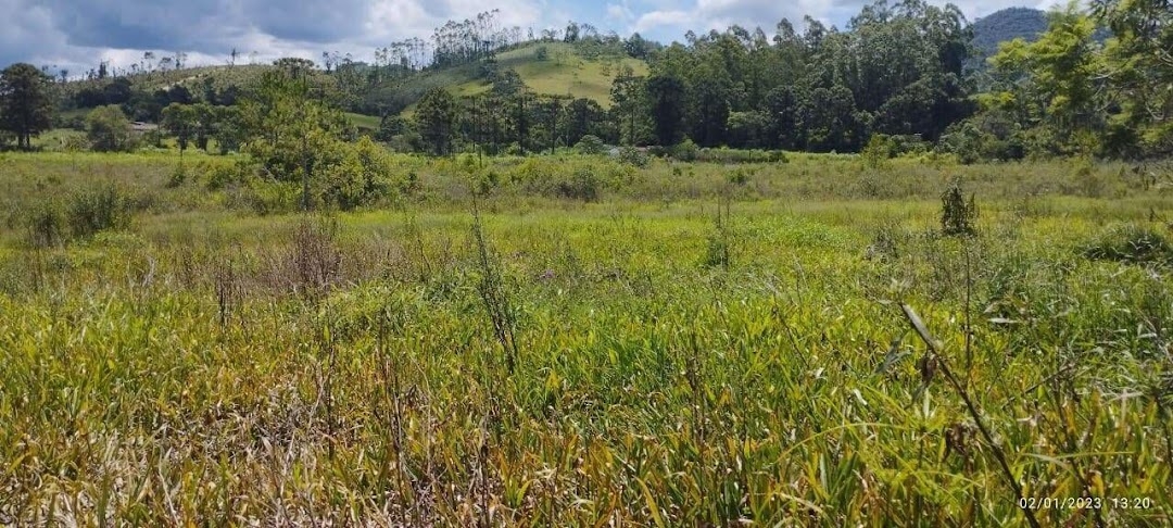 Fazenda em Guaratinguetá/São Paulo — Ref TRIBGM — Imagem 25