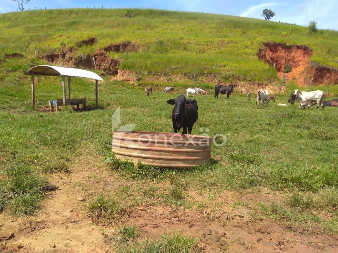 Sítio, 2 quartos, 100 m² - Foto 5