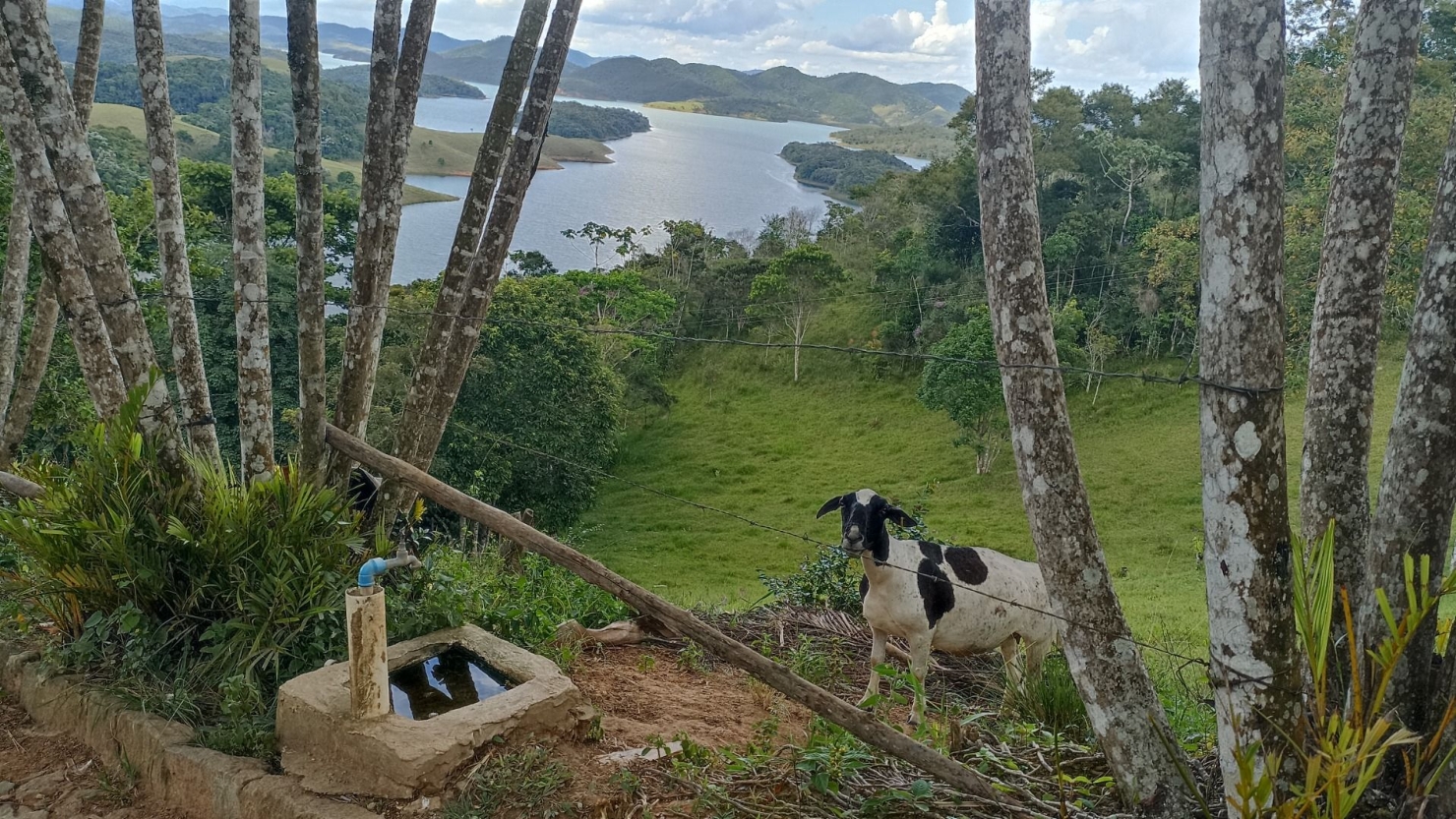 Sítio em Paraibuna/São Paulo — Ref LJW8OX — Imagem 14