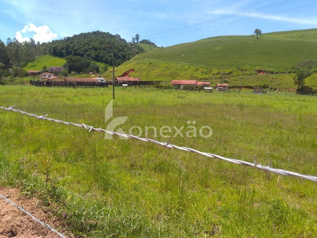 Sítio, 2 quartos, 100 m² - Foto 4