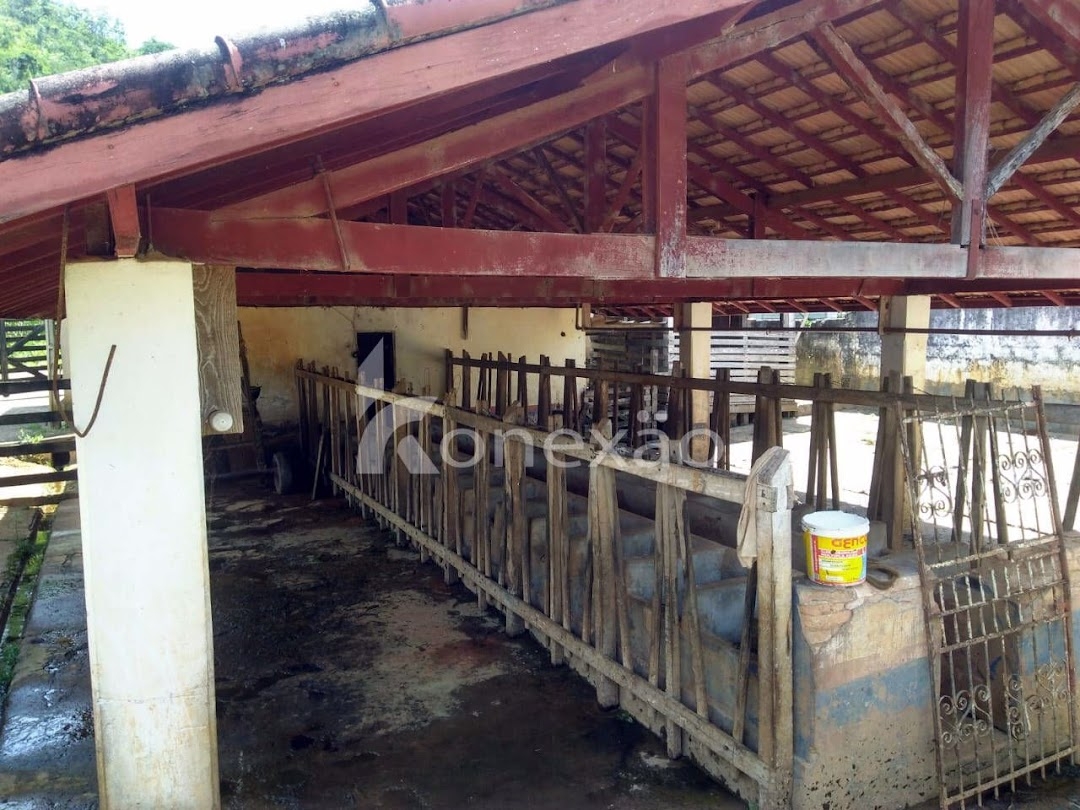 Sítio em Cunha/São Paulo — Ref 3NZVHM — Imagem 13