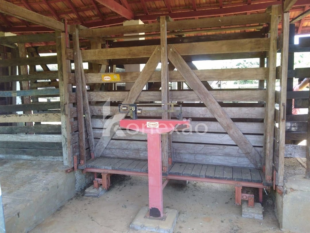 Sítio em Cunha/São Paulo — Ref 3NZVHM — Imagem 21