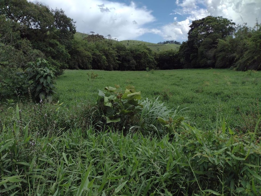 Fazenda em Guaratinguetá/São Paulo — Ref TRIBGM — Imagem 20