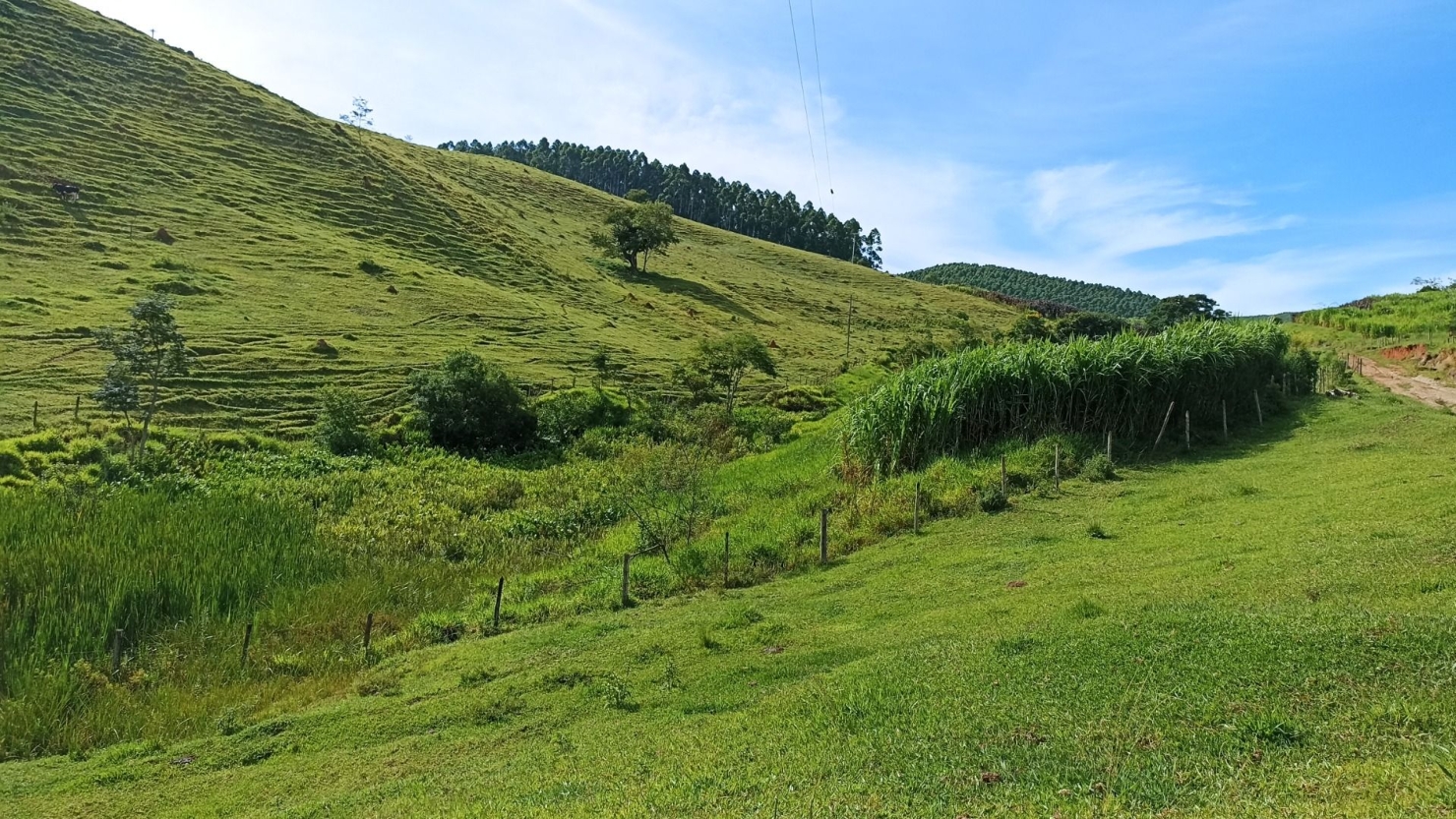 Fazenda em Paraibuna/São Paulo — Ref 1CNCIP — Imagem 13
